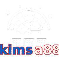 kimsa88